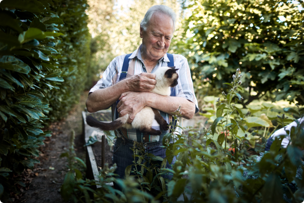 Man petting a cat