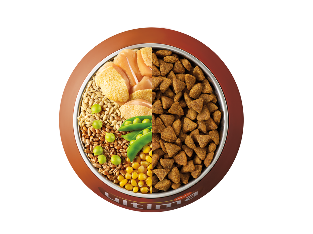 Chicken, barley, whole wheat and peas