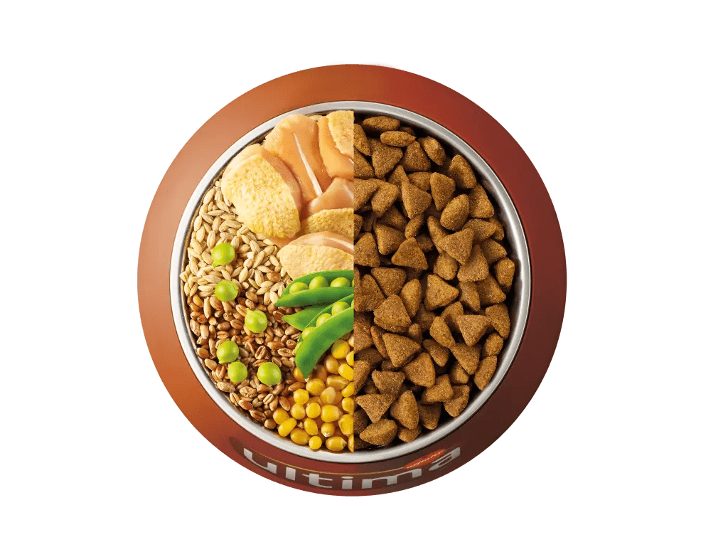 Chicken, barley, whole wheat and peas