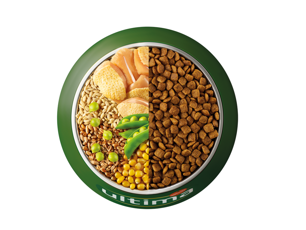 Chicken, barley, whole wheat and peas