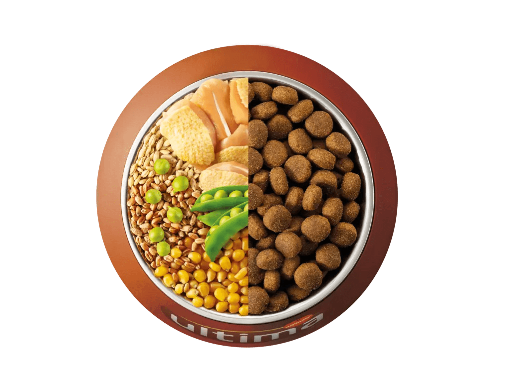 Chicken, barley, wholegrain cereals and peas