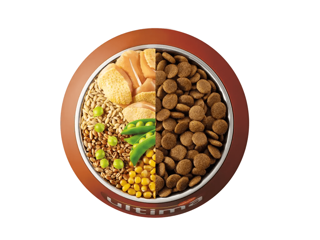 Chicken, barley, whole wheat and vegetables