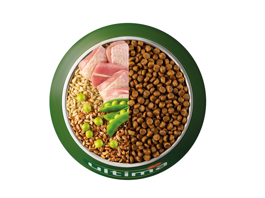 Turkey, barley, whole wheat and peas