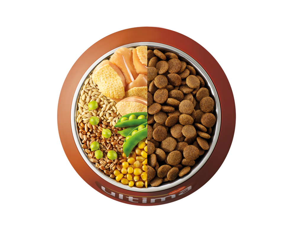 Chicken, barley, whole wheat and vegetables