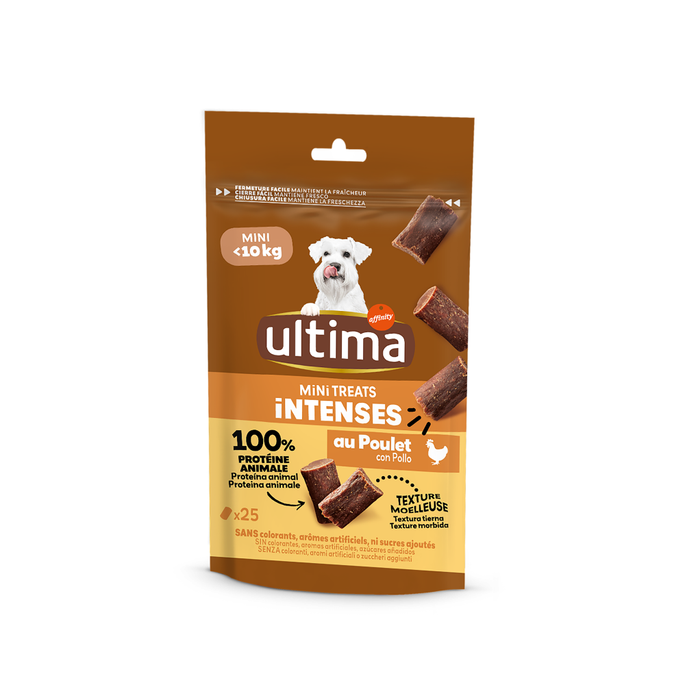 Small Adult Intense Bites Chicken