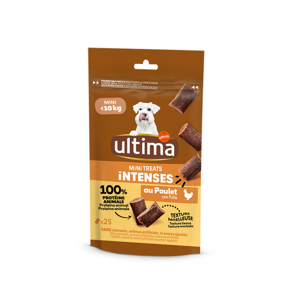 Small Adult Intense Bites Chicken