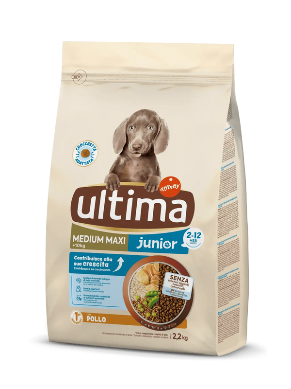 Medium-Maxi Junior with Chicken