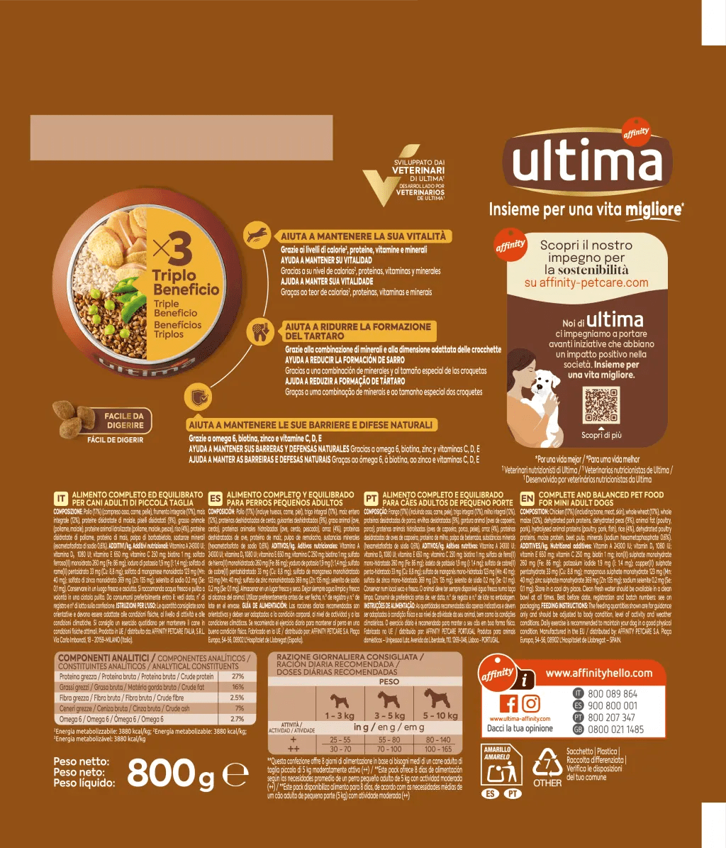 Petit Adult amb Pollastre