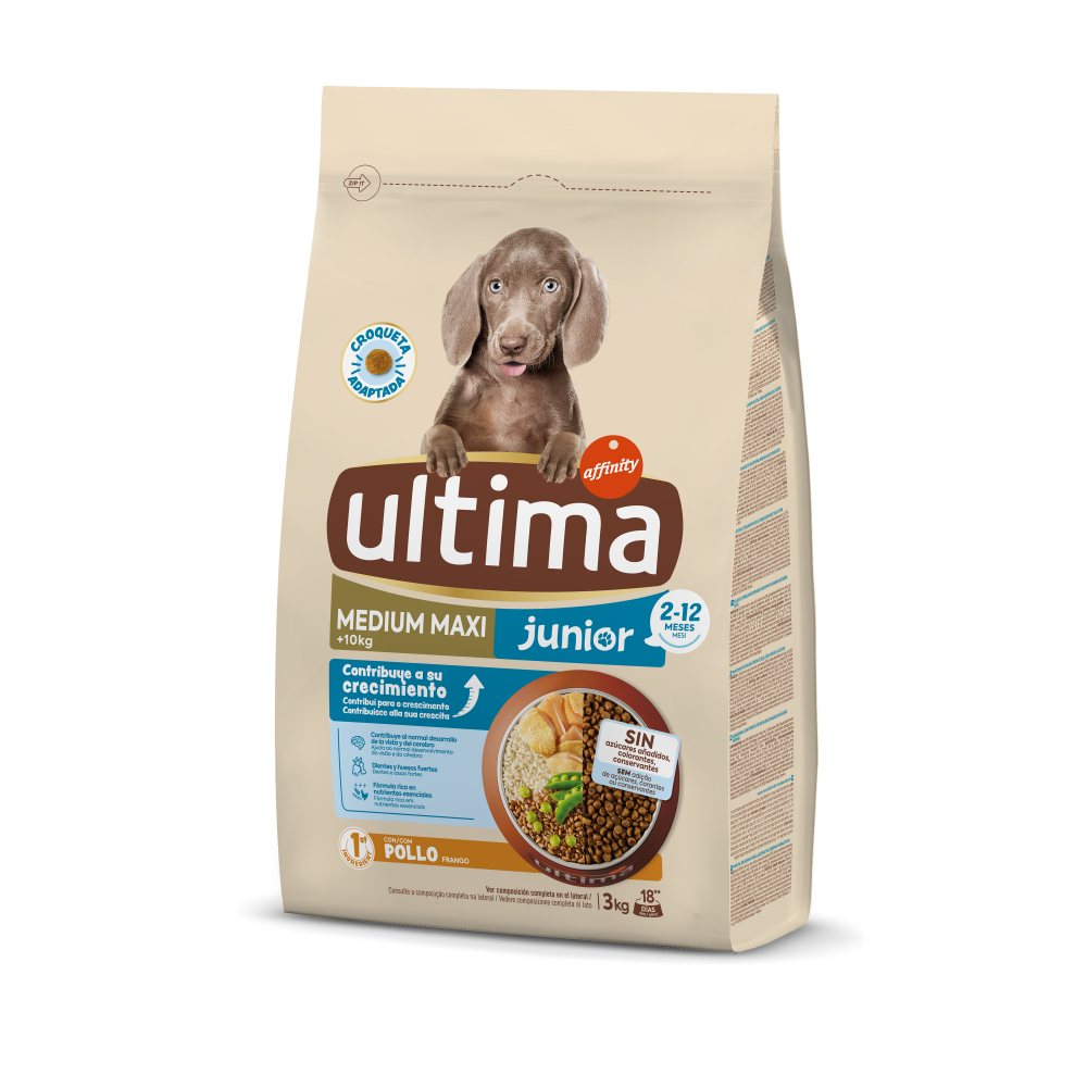 Medium-Maxi Junior con Pollo