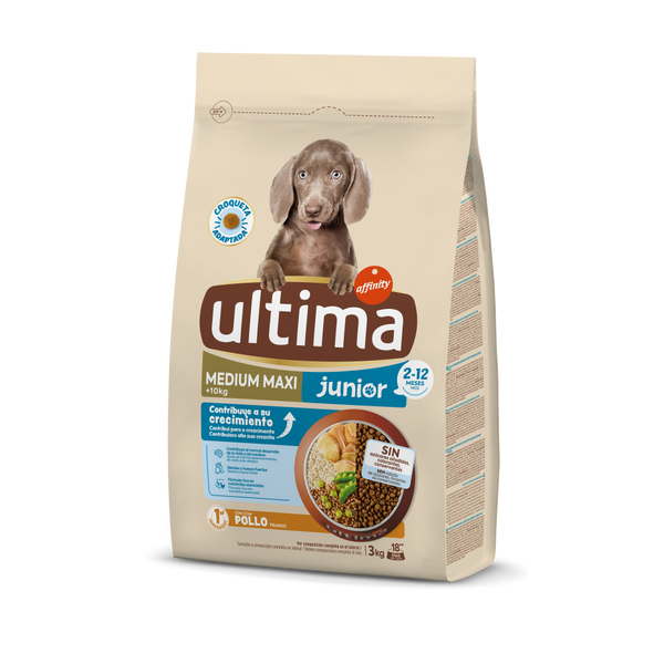 Medium-Maxi Junior con Pollo