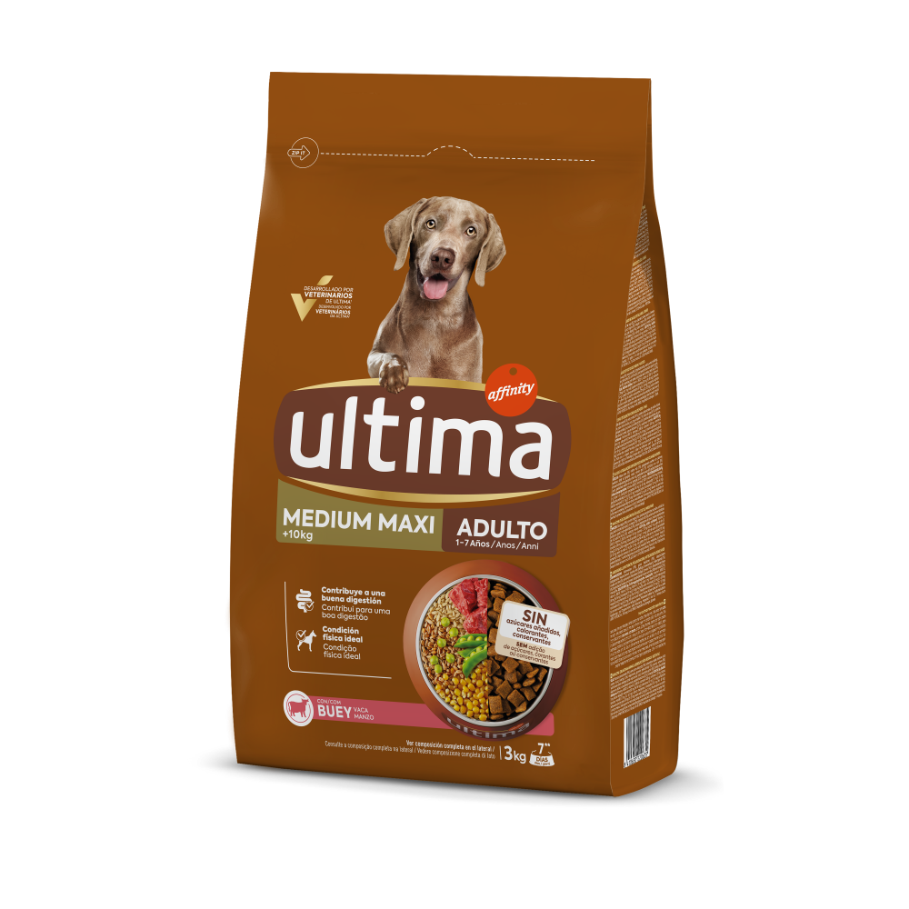 Medium-Maxi Adulto con Buey