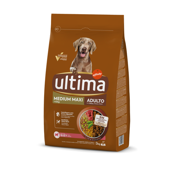 Medium-Maxi Adulto con Buey