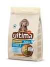 Medium-Maxi Junior con Pollo