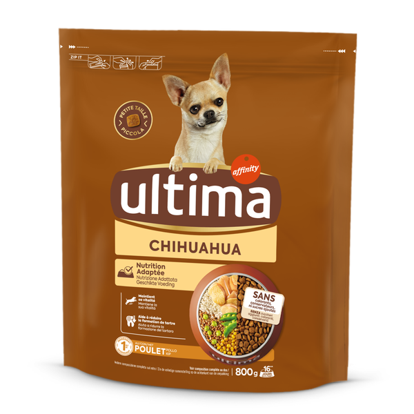 Taglia Piccola Chihuahua con Pollo