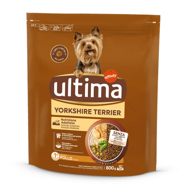 Petit Yorkshire Terrier amb Pollastre