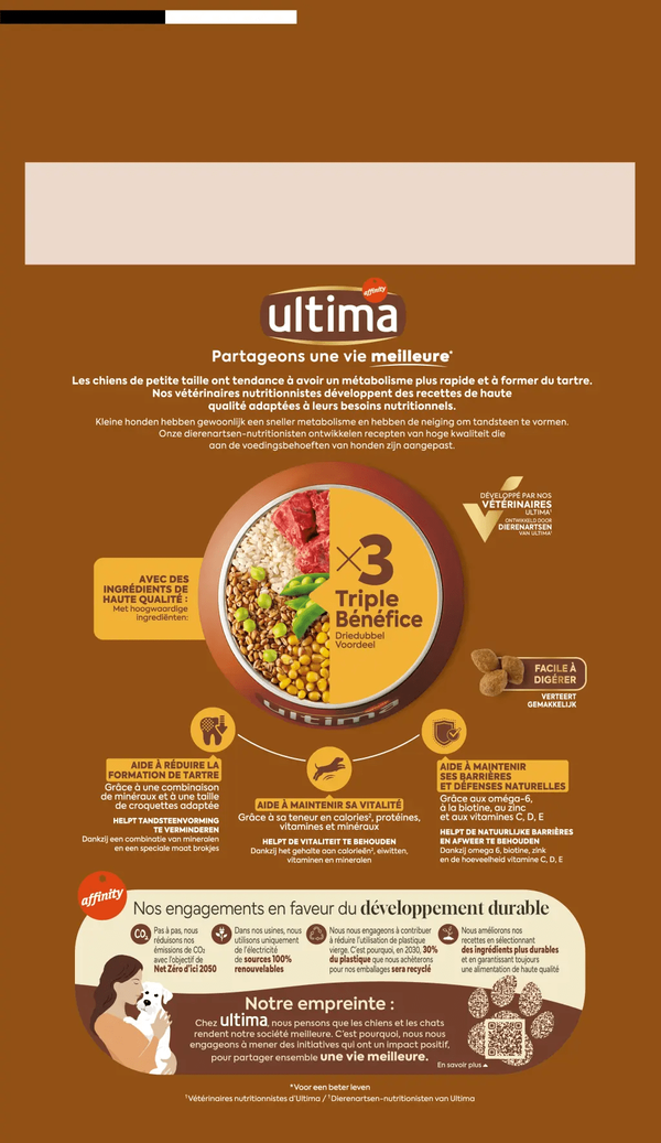 Petit Adulte avec du B&oelig;uf