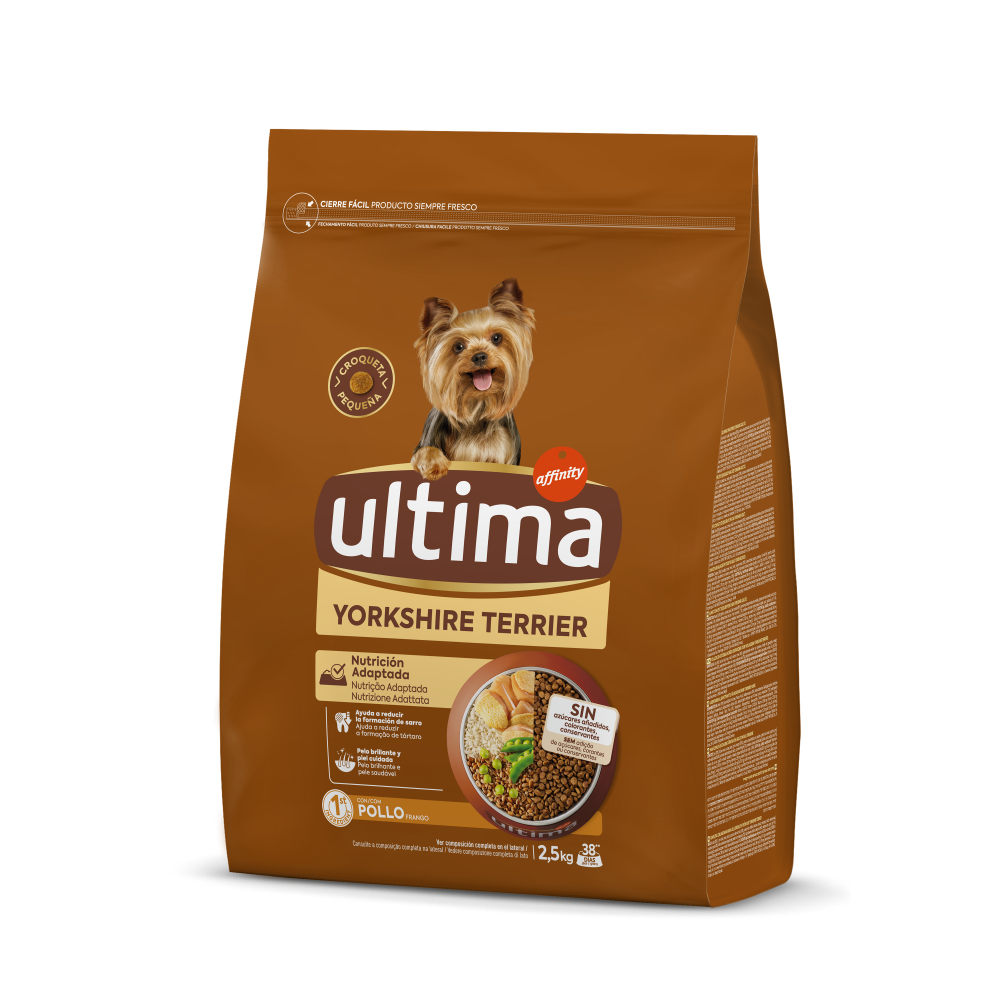 Peque&ntilde;o Yorkshire Terrier con Pollo