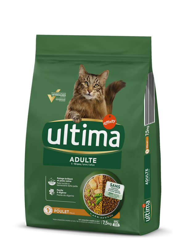 Adulte avec du Poulet