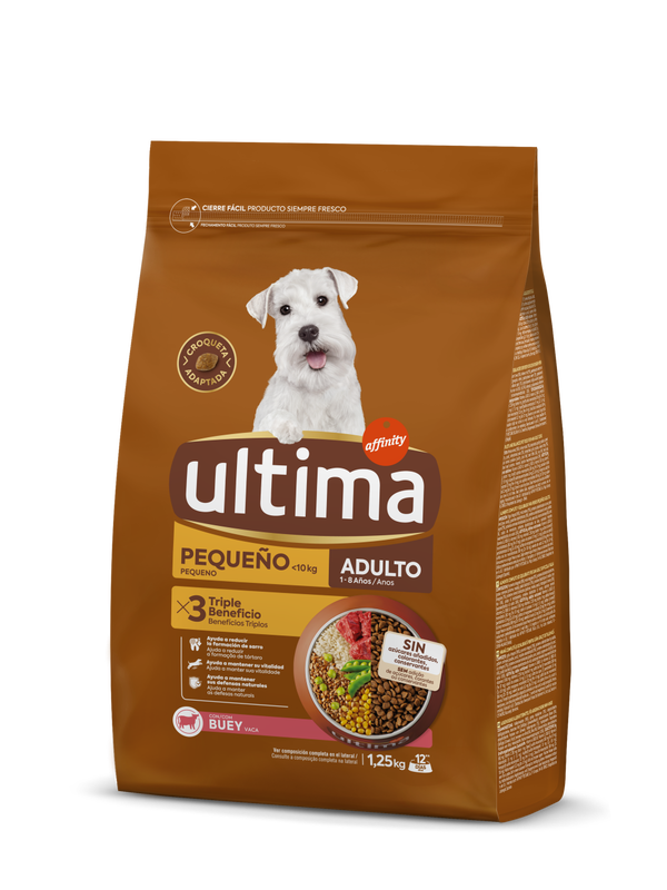 Small Adult with Beef