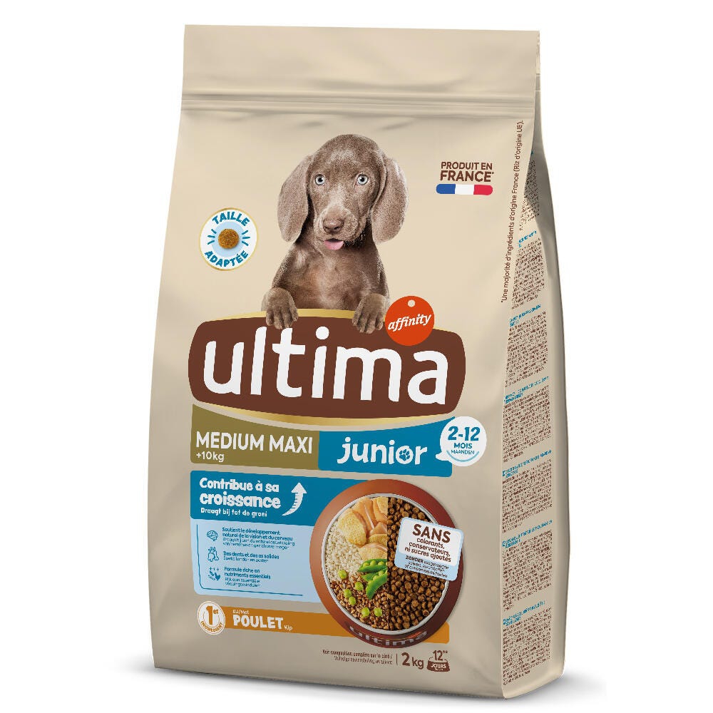 Medium-Maxi Junior con Pollo