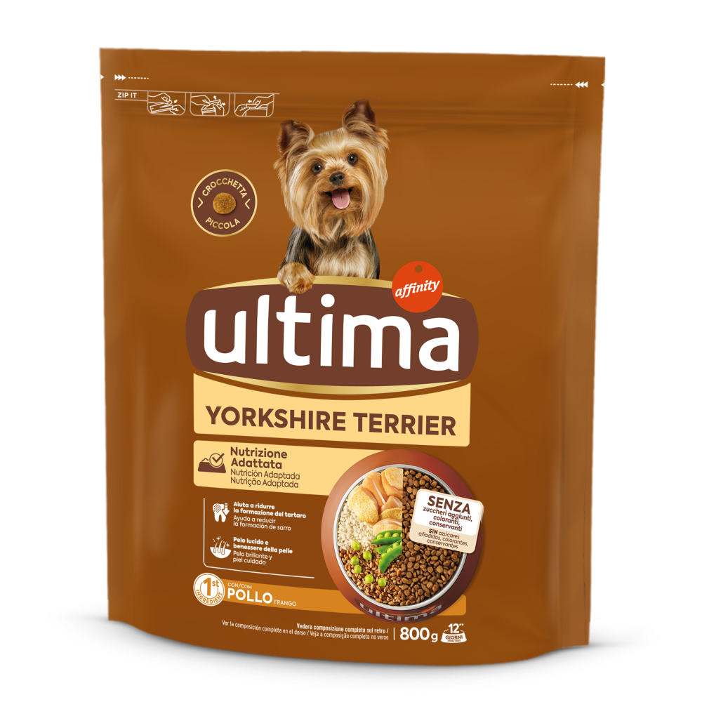Taglia Piccola Yorkshire Terrier con Pollo
