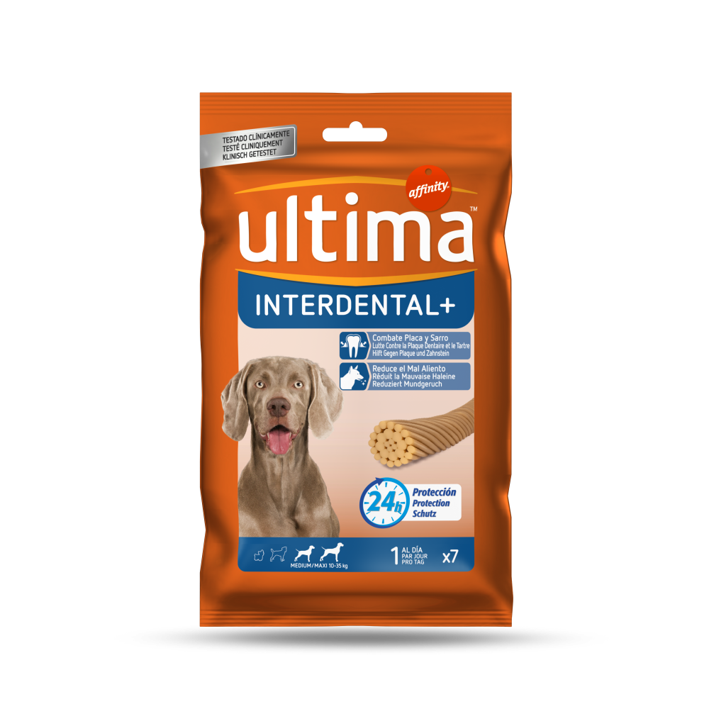 INTERDENTAL + Medium/Maxi