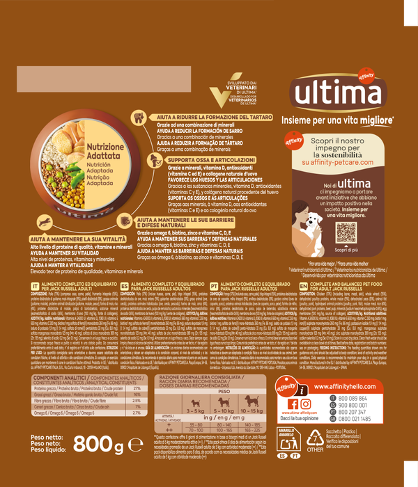 Petit Jack Russell avec du Poulet