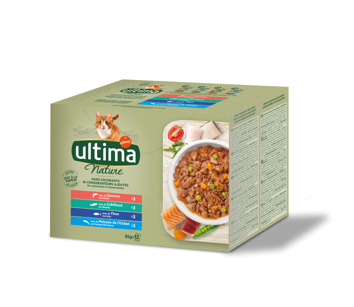 Nature avec du Saumon, Cabillaud, Thon et Poisson de l'Oc&eacute;an