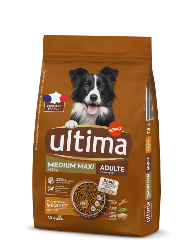 Medium-Maxi Adulte avec du Poulet