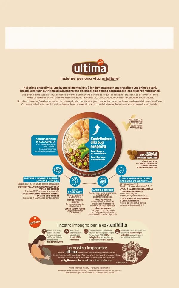 Medium-Maxi Junior with Chicken