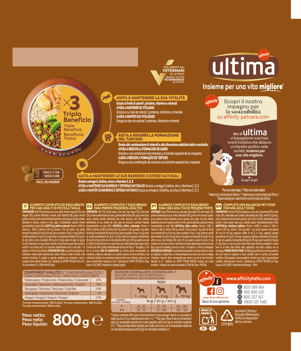 Petit Adulte avec du Poulet