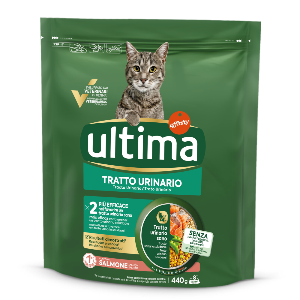 Tratto urinario con Salmone