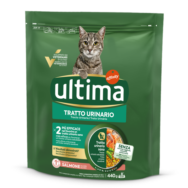 Tratto urinario con Salmone