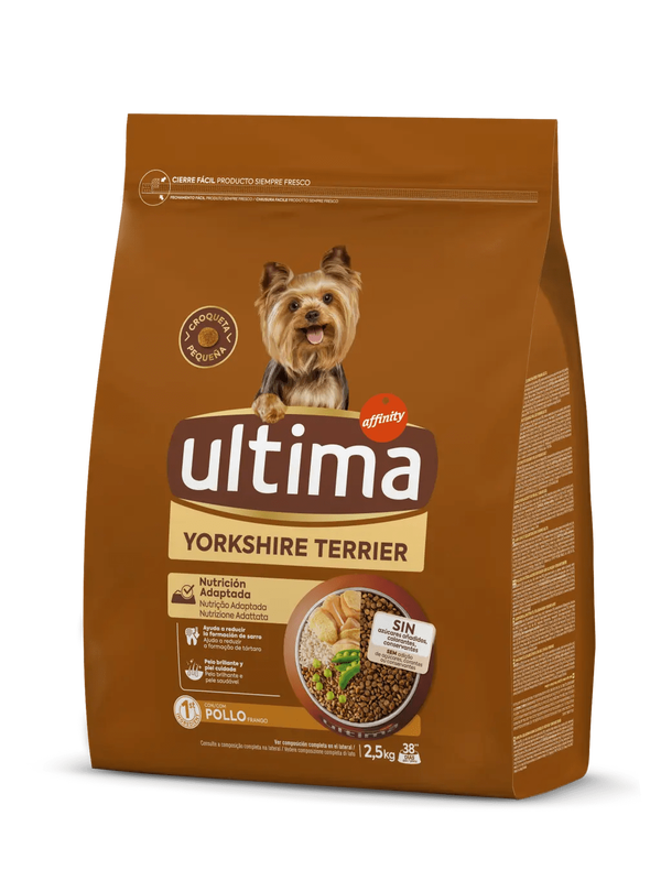 Petit Yorkshire Terrier amb Pollastre