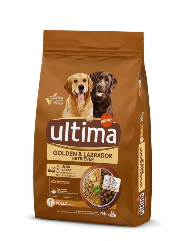 Medium-Maxi Golden i Labrador amb Pollastre