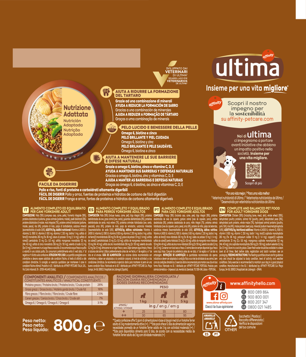 Small Yorkshire Terrier with Chicken