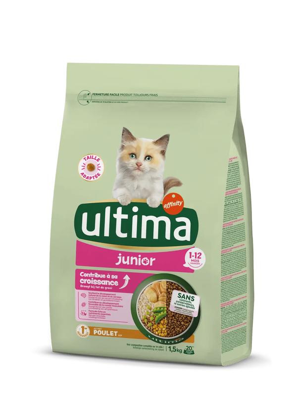 Junior avec du Poulet