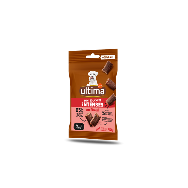 Small Adult Intense Bites Beef