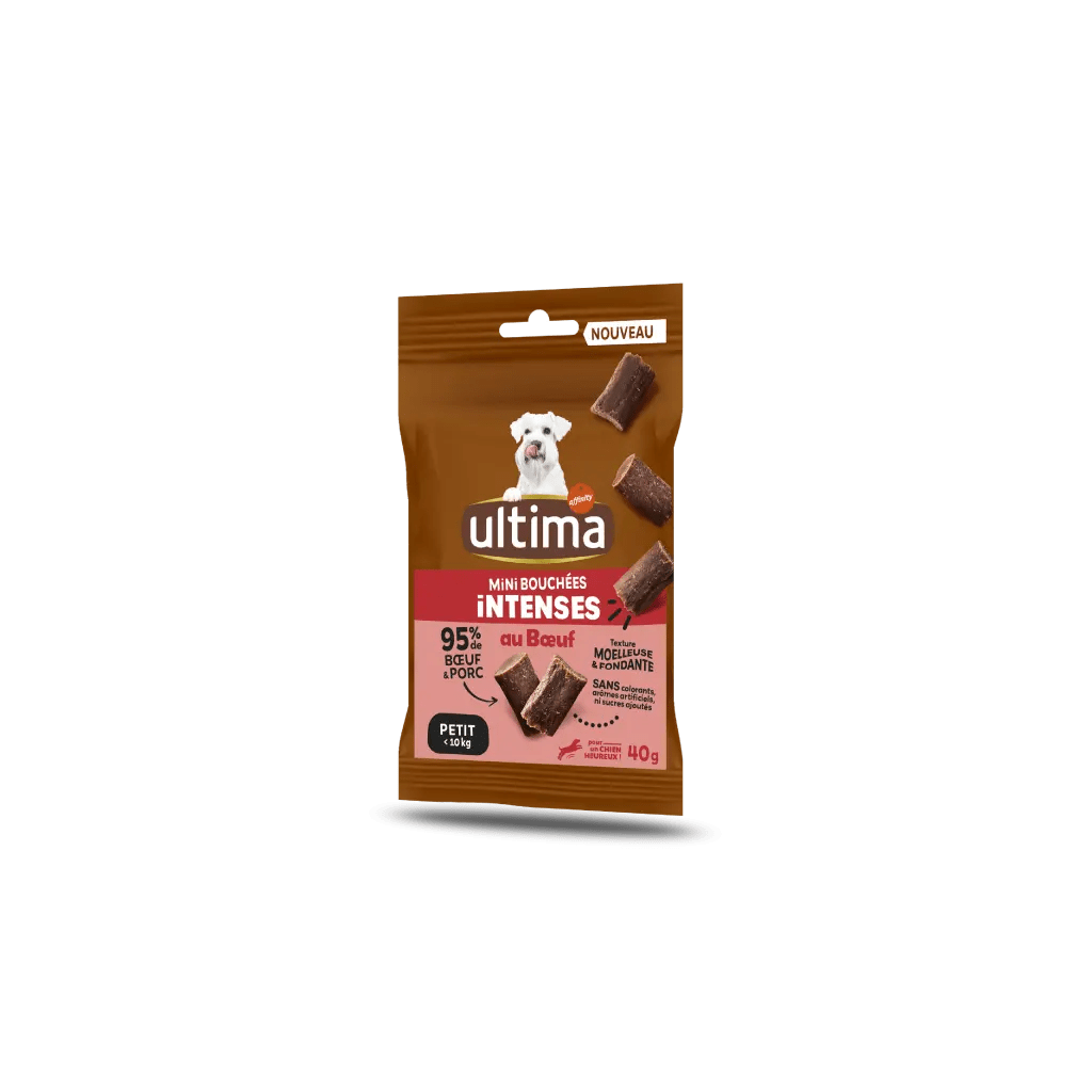 Small Adult Intense Bites Beef