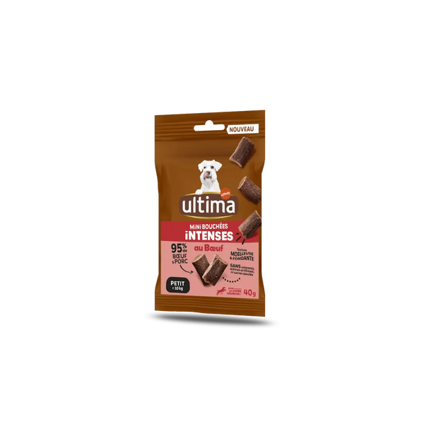 Small Adult Intense Bites Beef