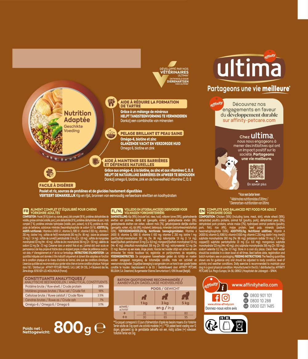 Petit Yorkshire Terrier avec du Poulet