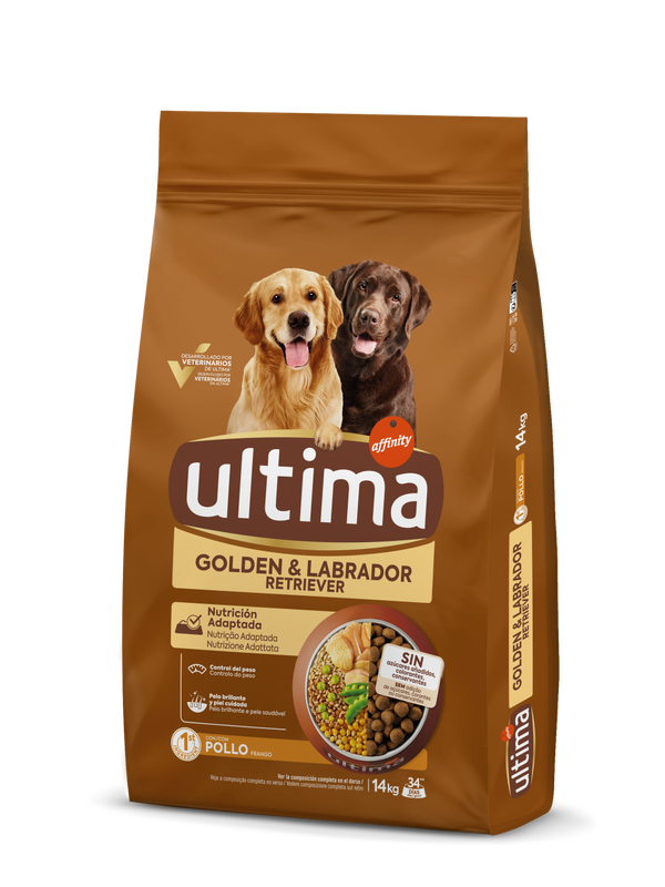 Medium-Maxi Golden & Labrador con Pollo