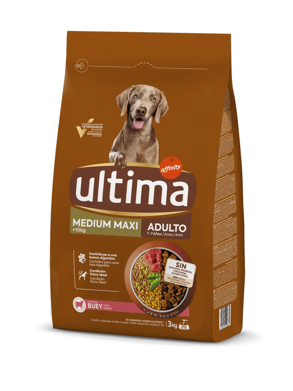 Medium-Maxi Adult amb Bou