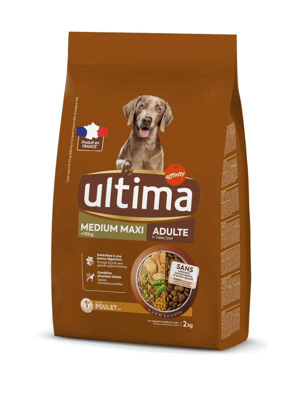 Medium-Maxi Adult with Chicken