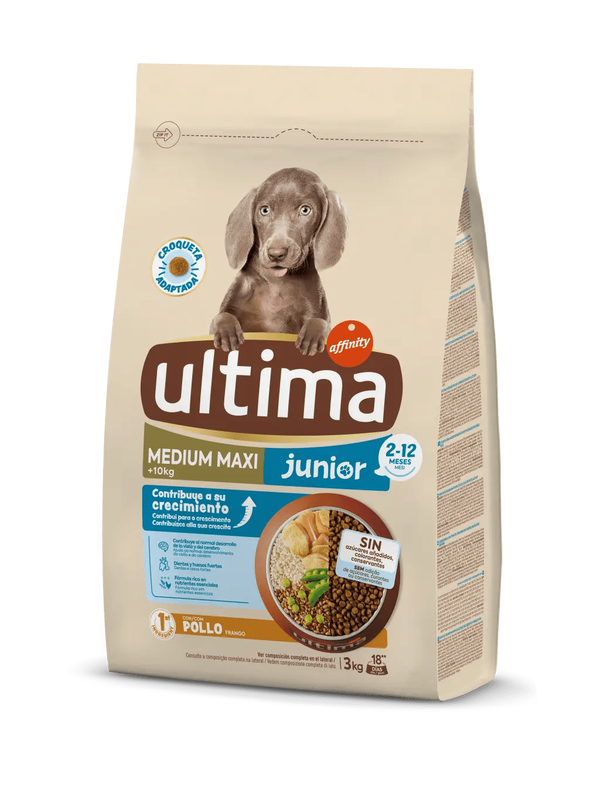 Medium-Maxi J&uacute;nior amb Pollastre