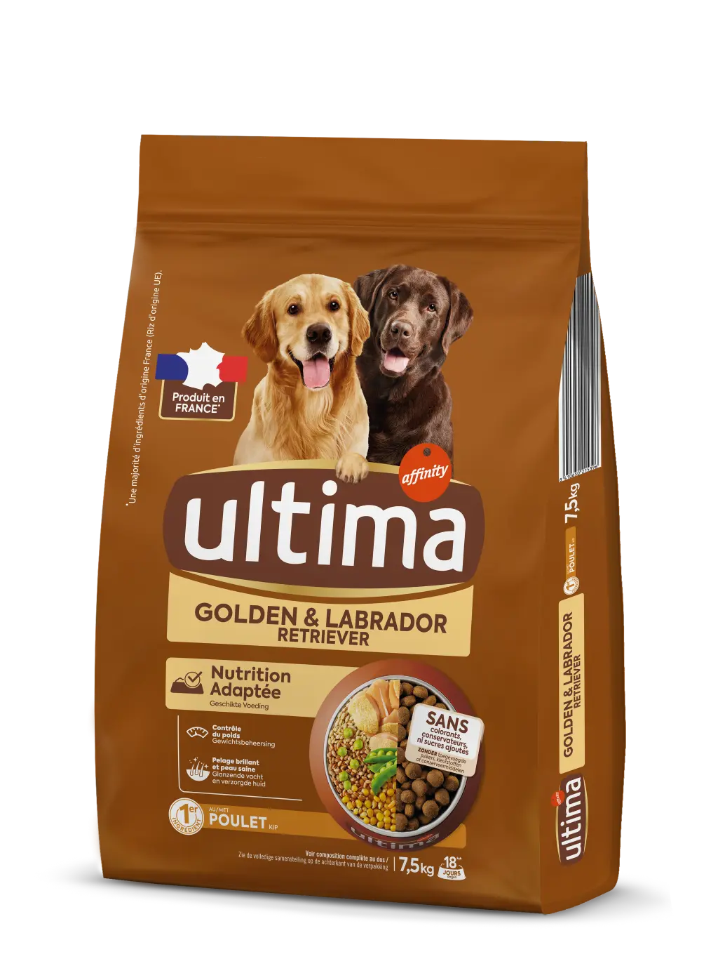 Medium-Maxi Golden & Labrador with Chicken