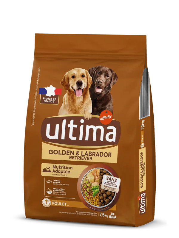 Medium-Maxi Golden & Labrador with Chicken