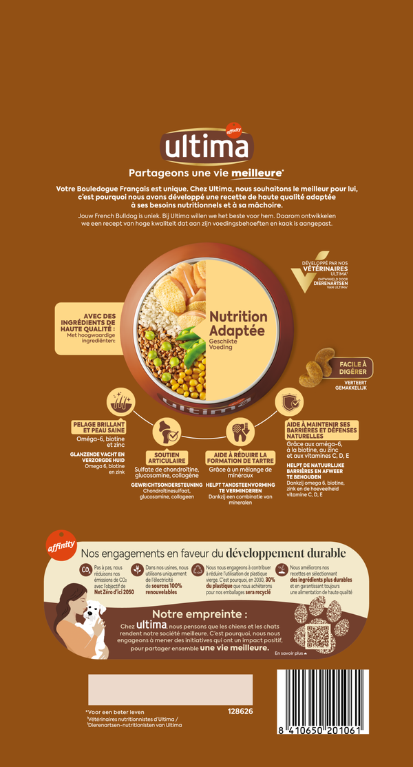 Petit French Bulldog avec du Poulet