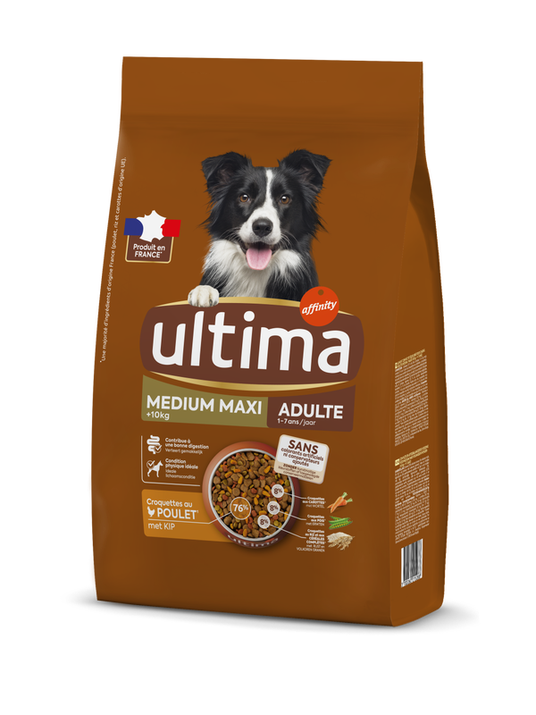 Medium-Maxi Adulte avec du Poulet