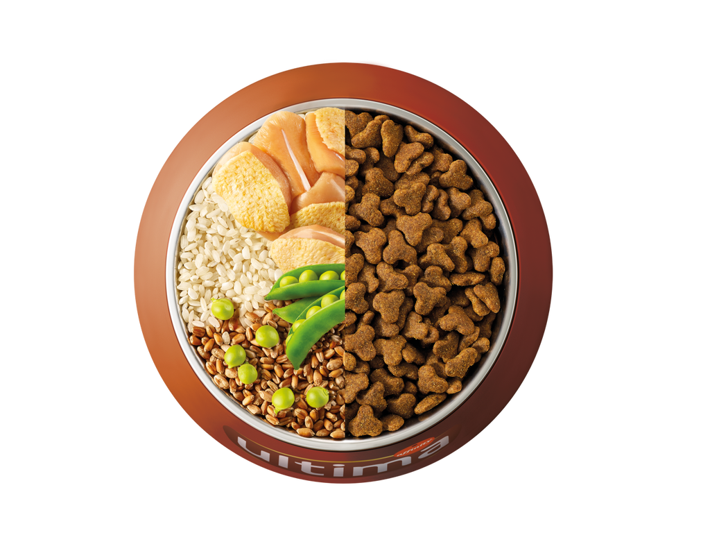 Pollo, arroz, cereales integrales y guisantes